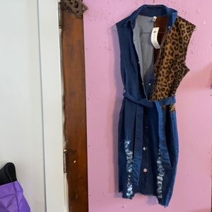 Stylish blue Jean dress